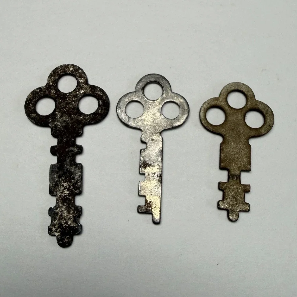 3 Trefoil Flat Skeleton Keys includes a National Lock Co Rockford, Il Steampunk